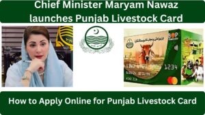 CM Punjab Livestock Card  Interest Free Livestock Loan Scheme for Farmers 2025
