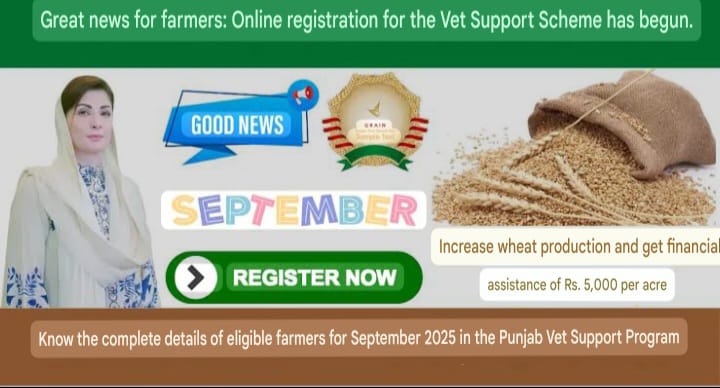 CM Punjab Wheat Support Program 2025 –  Effective Financial Assistance for Farmers in Punjab