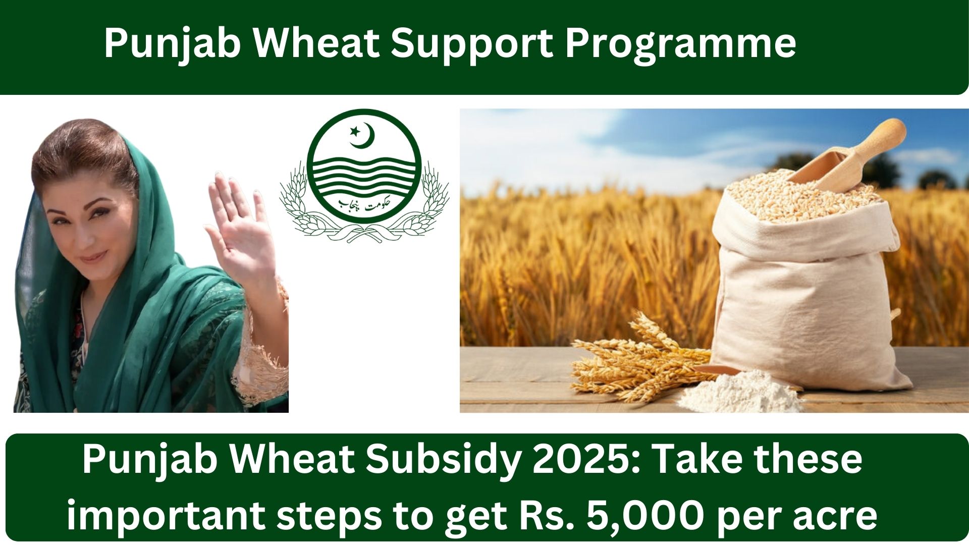 CM Punjab Wheat Support Program 2025 –  Effective Financial Assistance for Farmers in Punjab