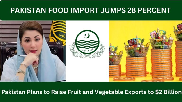 Pakistan Food Import Jumps 28 Percent in First Five Months of FY26, Raising Economic and Policy Concerns