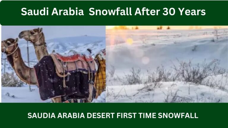 Punjab Govt Approves 30 Billions Funding for Mosques and Madaras for Effective Religious Education